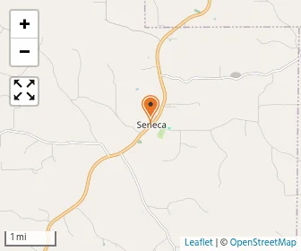 Map of Mary Immaculate Academy