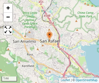 Map of Lindamood-bell Learning Processes San Rafael
