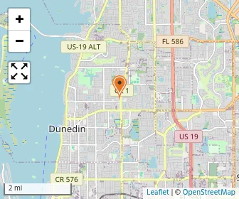 Map of Dunedin Academy