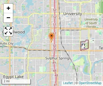 Map of Morning Star Catholic School Tampa