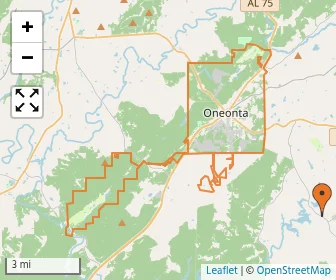 Area schools map